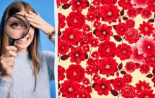 Только 1% гениев найдут туфельку в цветах за 10 секунд: чрезвычайно сложная головоломка