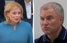 Володін поскаржився Бундестагу на Мерца і Україну: там різко відповіли