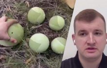 Боевые "колобки": эксперт рассказал, могут ли эти устройства изменить ситуацию на поле боя