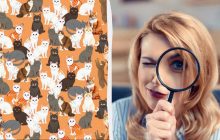 Тільки люди з очима орла знайдуть лисицю за 8 секунд в хитрій оптичній ілюзії