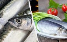 В Україні подорожчала популярна риба: скільки доведеться заплатити