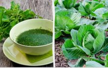 Від цього добрива качани ростуть як на дріжджах: "дідівський" метод підживлення капусти кропивою