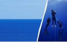 Чем уникальна точка Немо в океане: откуда название и чем примечательно место (фото)