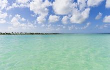 Під водою знайдено скарб на 17 мільярдів доларів: учені розкрили таємницю його походження