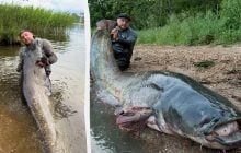У Польщі рибалка виловив з Одри сома гігантських розмірів (фото)