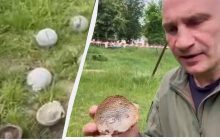 Чтобы жертв было больше: Россия обстреляла Киев кассетными боеприпасами (видео)