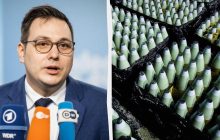 В Чехии сделали неоднозначное заявление относительно дальнейшей военной поддержки Украины