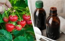 Йод - чудо-подкормка для клубники: нужно удобрить до конца июня