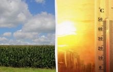 Облака исчезают, жара растёт: ученые рассказали о новой угрозе