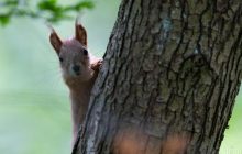 В Украине потеплеет, но в нескольких областях останется прохлада (список)