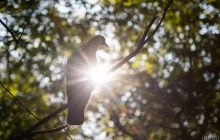 Чи варто українцям чекати сильної спеки: прогноз відомої синоптикині