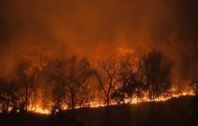 ЕС переживает худший сезон лесных пожаров за всю историю наблюдений, - Politico