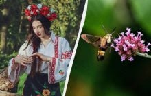 Что нужно сделать для крепкого здоровья: приметы в праздник 26 июня 2025