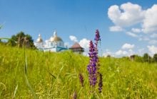 8 июля: церковный праздник сегодня, что нужно принести в дом, чтобы всегда быть с хлебом