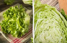 Салат залишиться свіжим навіть на 10-й день: як його правильно зберігати в холодильнику