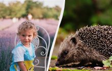 Что нужно отпраздновать украинцам 28 июня 2025: важный праздник и народные приметы