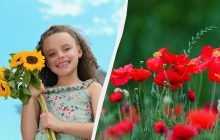 3 прикмети на щастя у свято Петра і Павла: що треба зробити 29 червня 2025