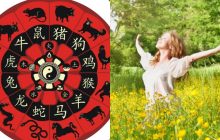 На шість китайських знаків Зодіаку чекає вдалий поворот долі вже дуже скоро