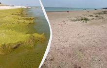 Брудне море та безлюдні пляжі: який вигляд має окупована Кирилівка на Запоріжжі (відео)