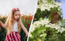 Що категорично заборонено робити жінкам: звичаї свята 1 липня 2025