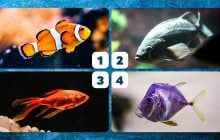Что о вас говорят за спиной: простой психологический тест