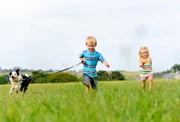 Які собаки не дуже добре ладнають з дітьми: кінолог назвав три породи