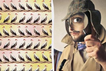 Не все могут найти 2 странных аистов за 8 секунд: сверхсложная оптическая иллюзия