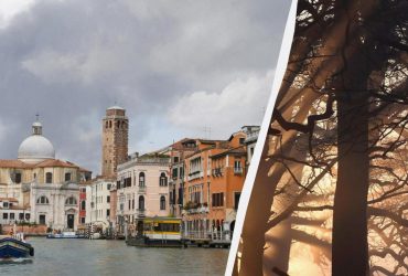 У центрі Венеції 50-річне дерево впало на туристів, є серйозно постраждалі