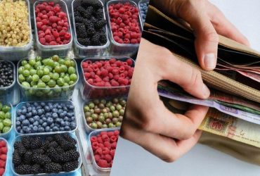 До осені ціни на продукти в Україні зростуть: експерт розповіла, що подорожчає найбільше