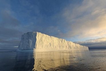 Гігантський айсберг розкрив мегагніздо у вічному холоді: вчені пояснили, що це (фото)