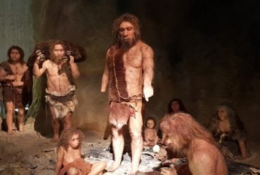 Человечество было почти уничтожено миллион лет назад: тогда выжило чуть больше 1000 особей