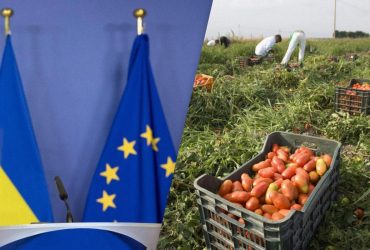 Україна та ЄС обговорюють нові умови експорту сільськогосподарської продукції, - Reuters