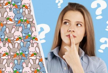 Чи знайдете ви кота серед зайців за 7 секунд: дивовижна оптична ілюзія