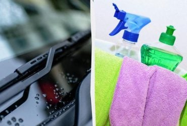 Чим очистити лобове скло від мошок і посліду: 2 надійні методи