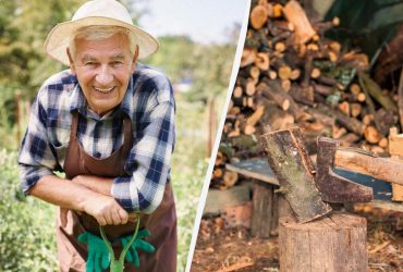 Куди подіти гілки після обрізки дерев: бувалі дачники їх ніколи не спалюють