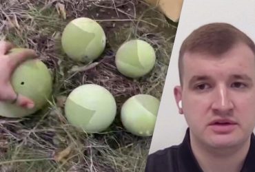 Боевые колобки: эксперт рассказал, могут ли эти устройства изменить ситуацию на поле боя