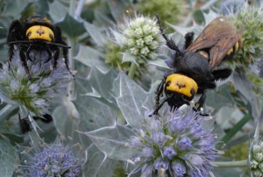 Найбільші оси Європи атакували Україну: експерт розповів, чи варто панікувати