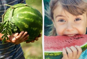 Як вибрати смачний кавун у магазині: фермер назвав єдину ознаку, що вказує на стиглість