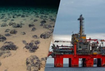 У 1979 році в океані провели експеримент: через 44 роки стали відомі його жахливі наслідки