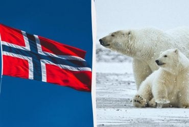 Норвегия ввела жесткие ограничения для туристов: бизнес возмущен