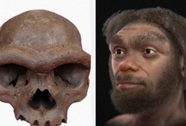 Археологи наконец раскрыли тайну черепа человека-дракона