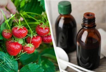 Йод - чудо-подкормка для клубники: нужно удобрить до конца июня