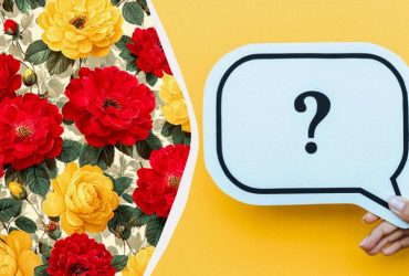 Найдете ли вы ножницы за 8 секунд: только настоящий гений разгадает головоломку