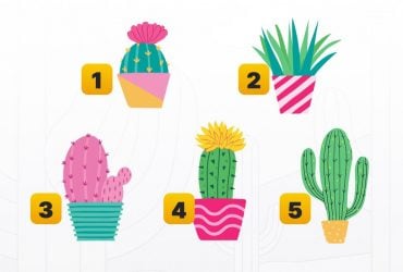 Цей жартівливий тест разюче точно описує особистість людини: потрібно вибрати кактус