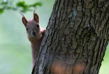 В Україні потеплішає, але у кількох областях залишиться прохолода (список)