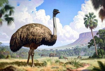 Цей птах важив майже 300 кілограмів: його визнано найбільшим у світі