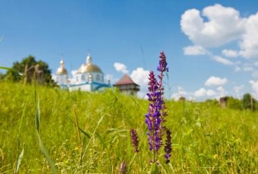 8 июля: церковный праздник сегодня, что нужно принести в дом, чтобы всегда быть с хлебом