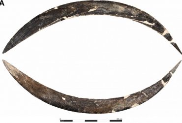 У Європі знайшли бумеранг із бивня мамонта віком 40 000 років: чим це важливо