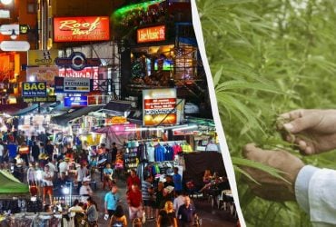 Недовго тривало свято: Таїланд забороняє продаж канабісу туристам без рецепта