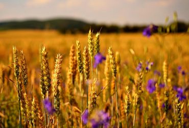 Синоптик розказав, що принесе Україні новий антициклон